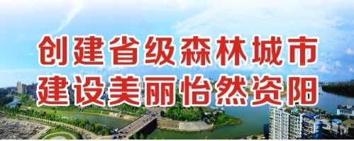 黄色重口网站创建省级森林城市 建设美丽怡然资阳